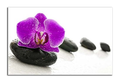 Fototapeta Zen stones and Orchid 24730